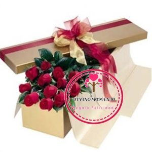 Regalos a Domicilio